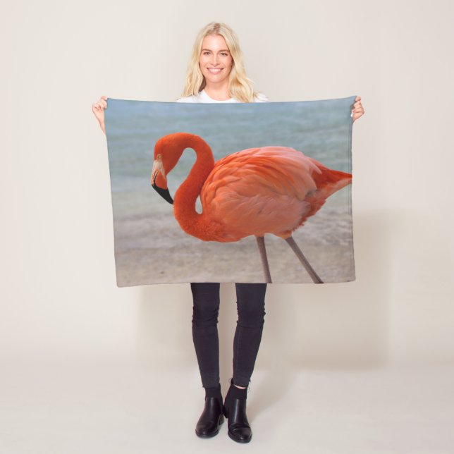 Couverture Polaire Beaches tropicales | Caribbean Flamingo, Aruba (En situation)