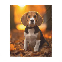Beagle d'automne