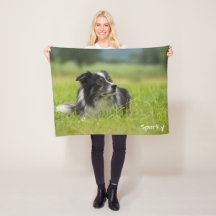 Beau Border Collie avec Nom Personnalisé