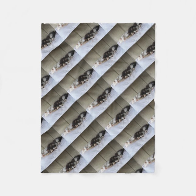 Couverture Polaire Beautés dormantes (Devant)