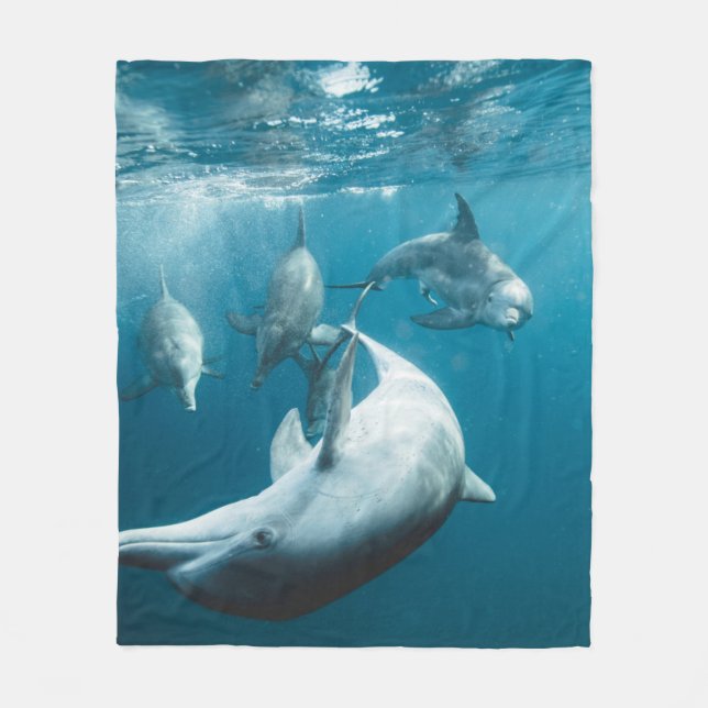 Couverture Polaire Beaux Dauphins Mignons (Devant)