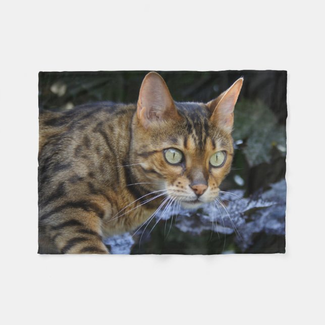 Couverture Polaire Bengale magnifique chat (Devant (Horizontal))
