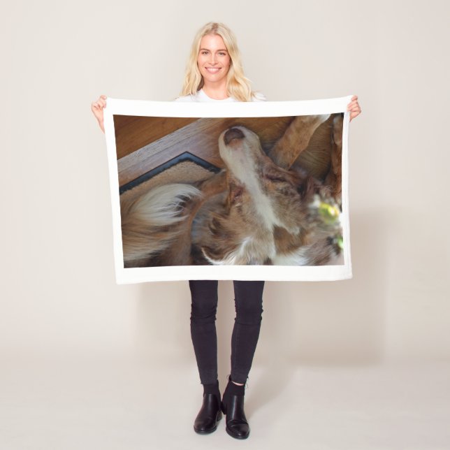 Couverture Polaire berger australien rouge merle dormir (En situation)