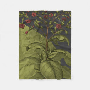 Couverture Polaire Besler Dramatique I