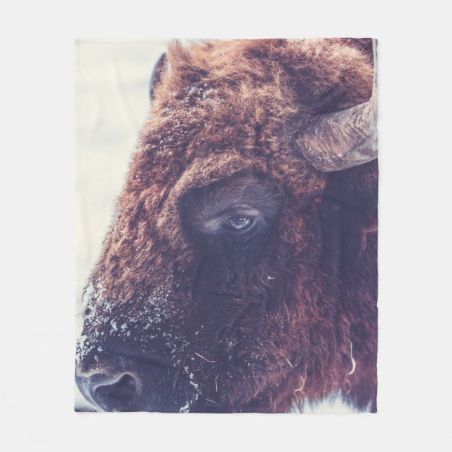 COUVERTURE POLAIRE BISON EN HIVER (Devant)