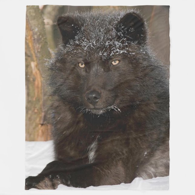 COUVERTURE POLAIRE BLACK WOLF (Devant)