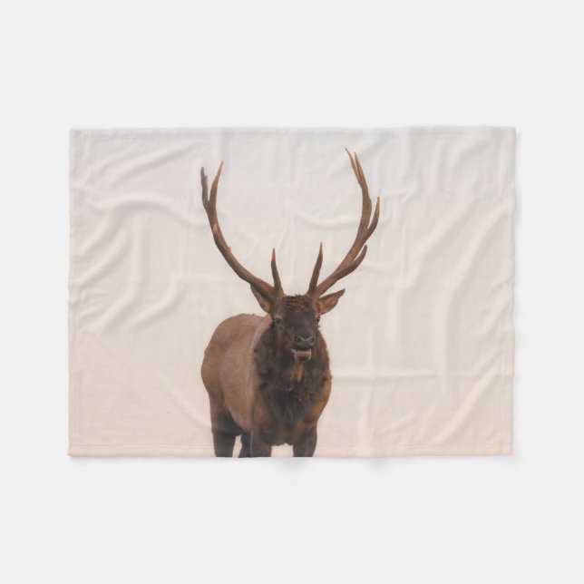 Couverture Polaire Blanche en polaire (Devant (Horizontal))