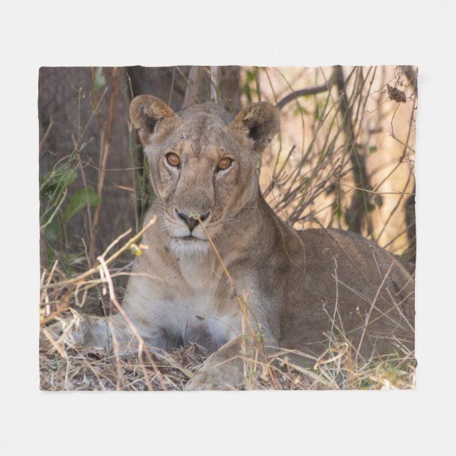 Couverture Polaire Blanche Lion Féminine (Devant (Horizontal))