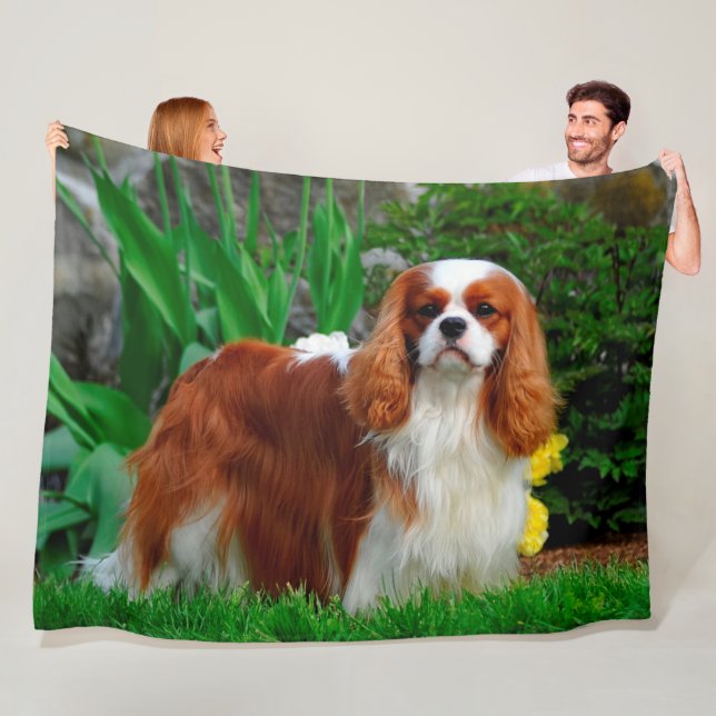 Couverture Polaire Blenheim Cavalier le roi Charles Spaniel (En situation)