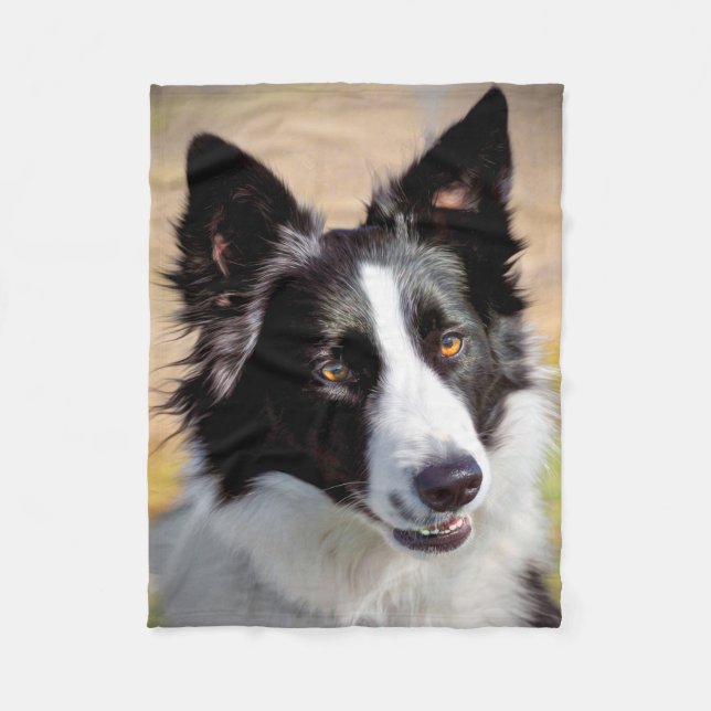 Couverture Polaire Border collie (Devant)