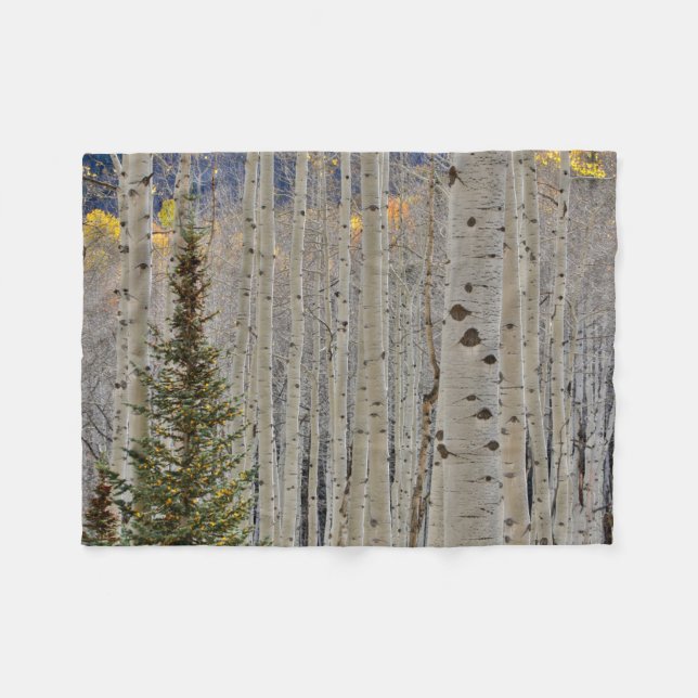 Couverture Polaire Bosquets d'automne de trembles | Montagnes Rocheus (Devant (Horizontal))