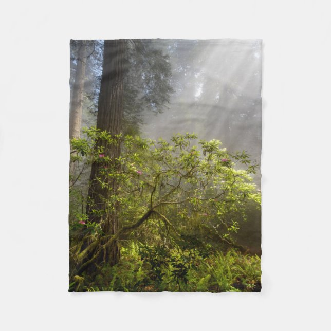 Couverture Polaire Brume matinale sur Rhododendron (Devant)