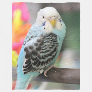 Couverture Polaire Budgie