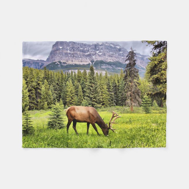 Couverture Polaire Bull Elk and Castle Mountain à Banff (Devant (Horizontal))