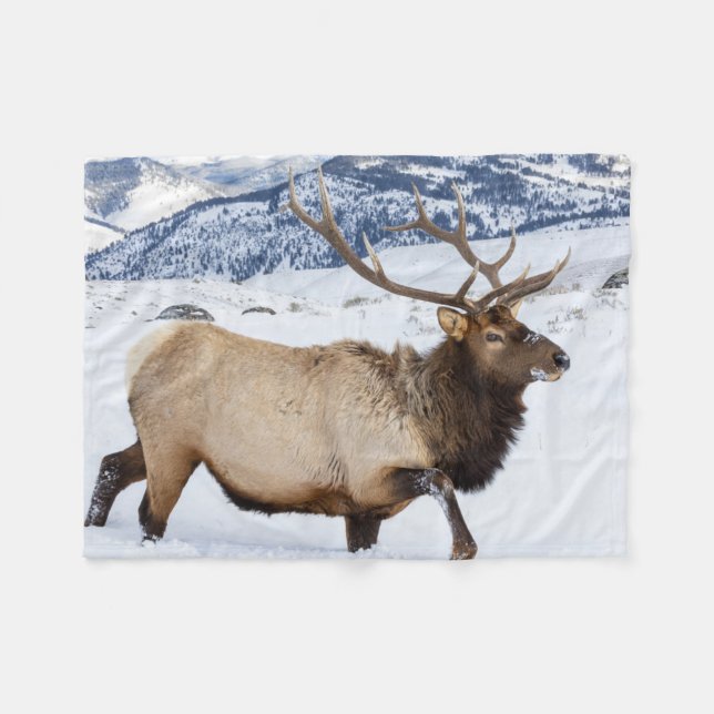 Couverture Polaire Bull Elk | Wyoming (Devant (Horizontal))