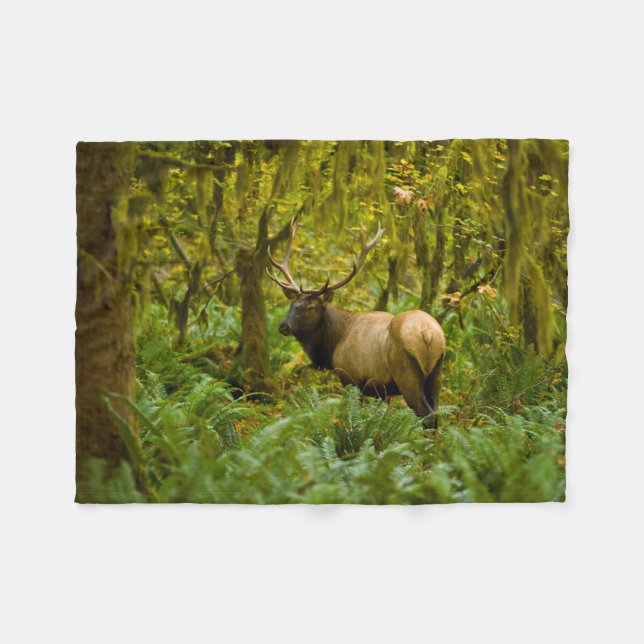 Couverture Polaire Bull Roosevelt Elk (Devant (Horizontal))