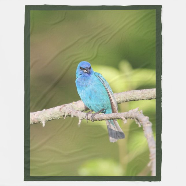Couverture Polaire Bunting Indigo (Devant)
