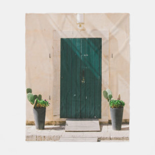 COUVERTURE POLAIRE CACTUS VERT PLANTE PRÈS DE PORTE VERTE