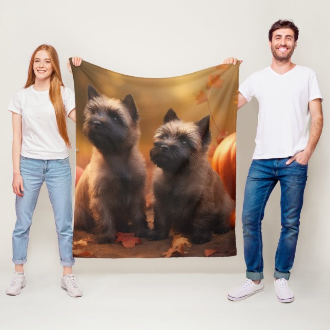 Couverture Polaire Cairn Terrier Chiot Automne Citrouille de plaisir (En situation)