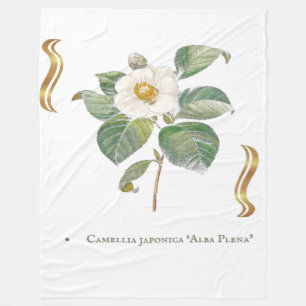 Couverture Polaire Camellia japonica 'Alba Plena' 