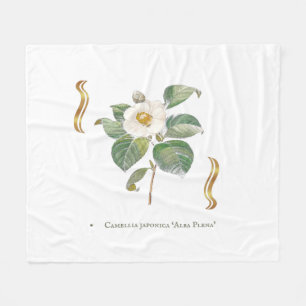 Couverture Polaire Camellia japonica 'Alba Plena' 