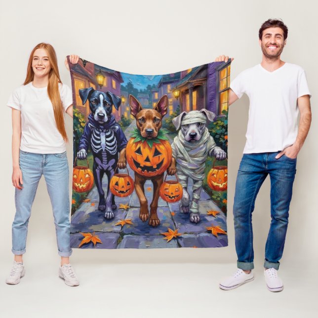 Couverture Polaire Cane Corso faisant la tournée des friandises dans  (En situation)