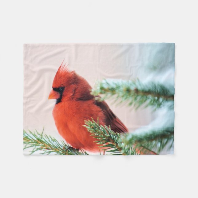 Couverture Polaire Cardinal dans l'arbre de sapin épousseté par neige (Devant (Horizontal))