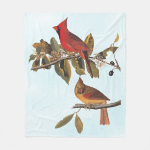 Couverture Polaire Cardinal Grosbeak Audubon Birds of America