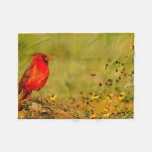Couverture Polaire Cardinal mâle sur une bûche