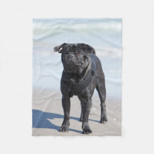 Couverture Polaire Carlin noir se tenant sur la plage