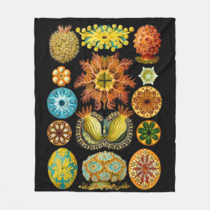 Couverture Polaire carte des créatures marines