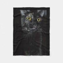 Cat-voile de la flotte de Yellow Eyes