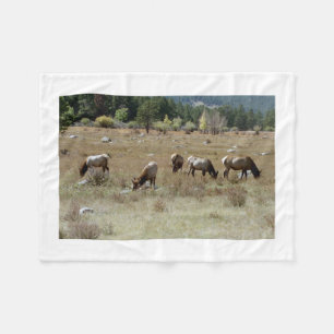 Couverture Polaire Ceinture polaire