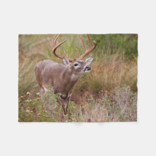 Couverture Polaire Cerf à queue blanche Automne au Texas
