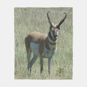 Couverture Polaire Cerf antilope A13