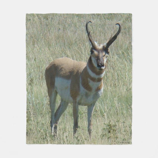 Couverture Polaire Cerf antilope A13 (Devant)