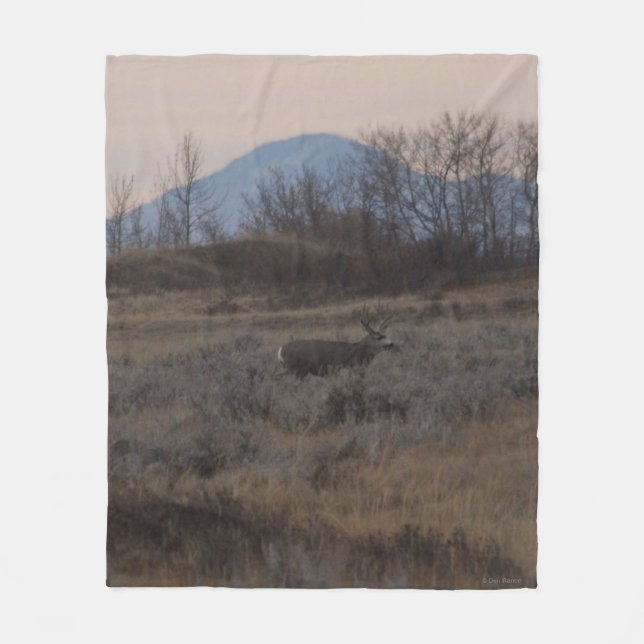Couverture Polaire Cerf mulet D12 et collines de Sweet Grass (Devant)