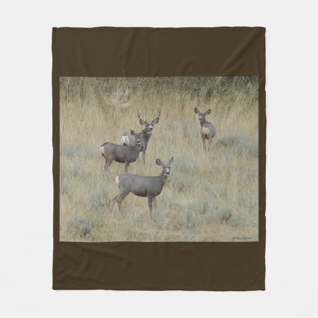 Couverture Polaire Cerf mulet D18 (Devant)