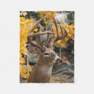 Couverture Polaire Cerfs communs de trophée