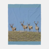 Cerfs Mulets D9 en Velours sur Fond Ciel