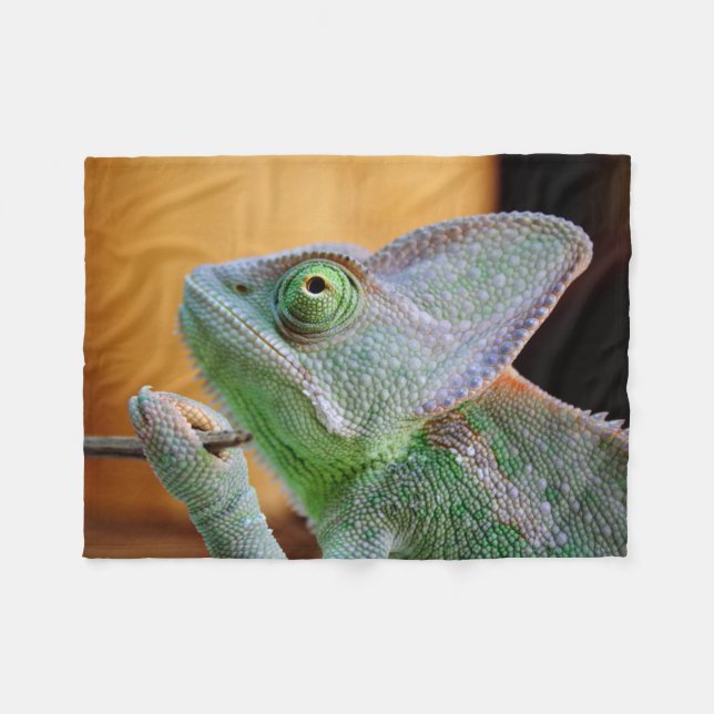 Couverture Polaire Chameleon voilé (Devant (Horizontal))