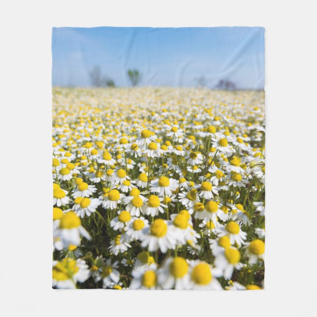 Couverture Polaire Champ chamomile, Hongrie (Devant)