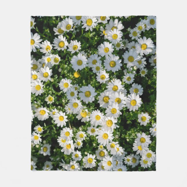 Couverture Polaire Champ de marguerite du printemps : Arrière - plan  (Devant)