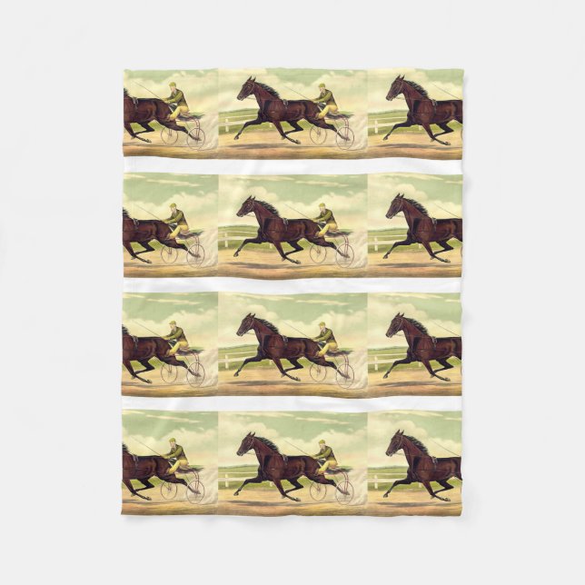 Couverture Polaire Champion boudeur SUPÉRIEUR (Devant)