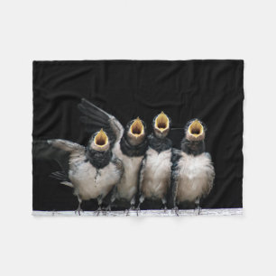 Couverture Polaire Chant d'hirondelle de grange