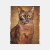Couverture Polaire Photographie De Chat De Sphinx D Elf Zazzle Fr