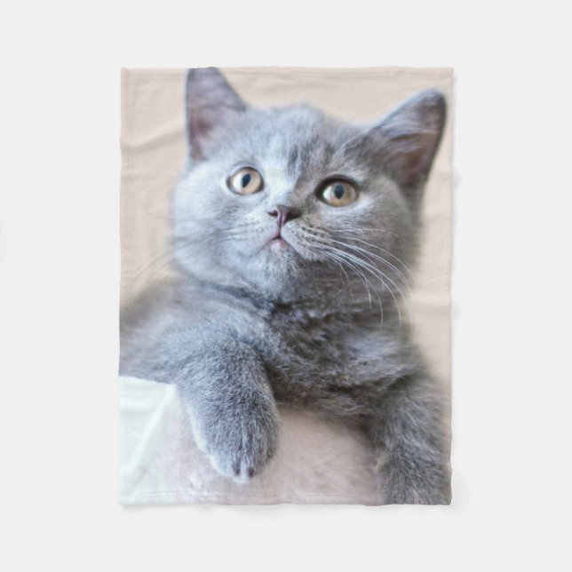 Couverture Polaire Chat britannique gris de Shorthair (Devant)