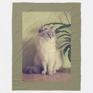Couverture Polaire Chat de Ragdoll