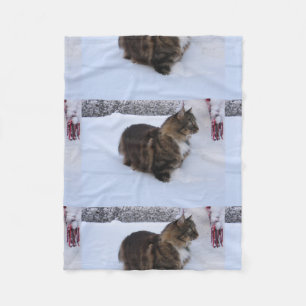 Couverture Polaire chat des forêts norvégiennes dans la neige