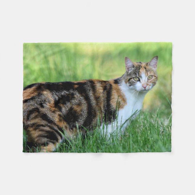 Couverture Polaire Chat marron et blanc (Devant (Horizontal))